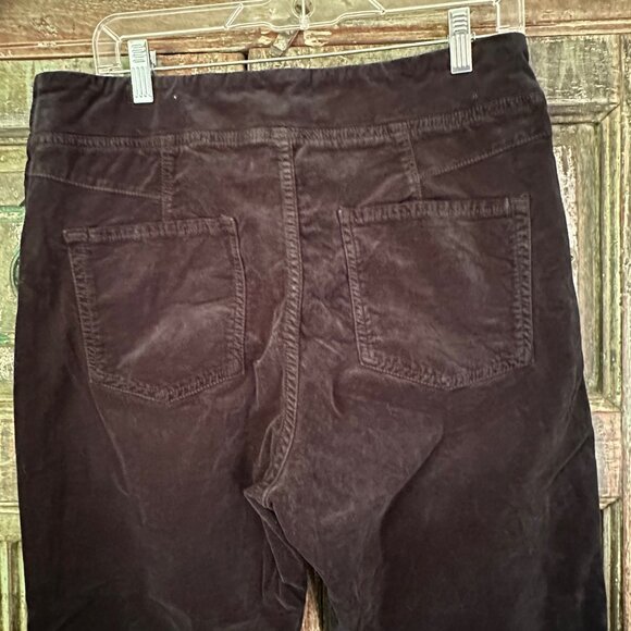 Free People NWT In My Feelings Velvet cropped pants - Picture 3 of 5